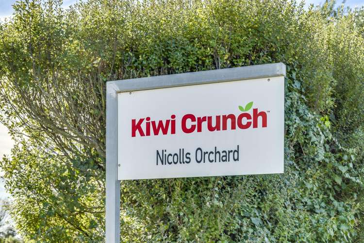 Kiwi Crunch Orchard Portfolio Twyford_1
