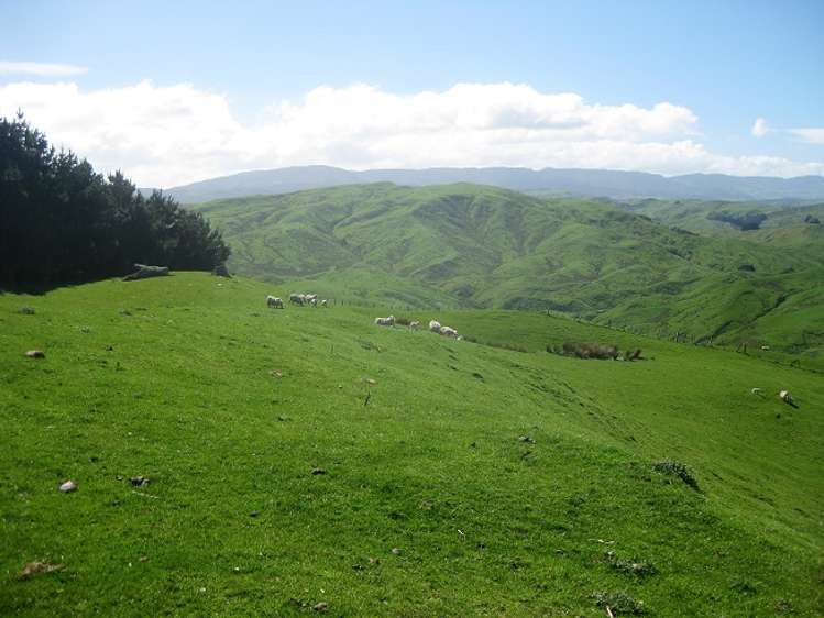 12271 Route 52 Pongaroa_10