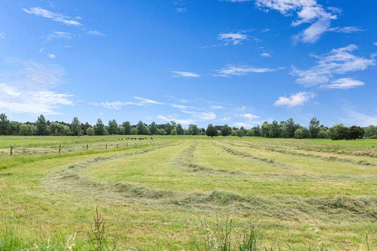 34 Te Aroha-gordon Road Te Aroha_19