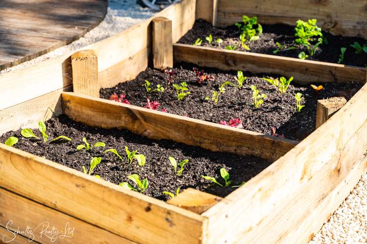 12 Cliff Street Paparoa_37