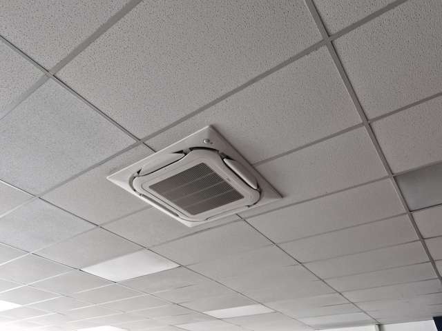 170 George Street Te Awamutu_2