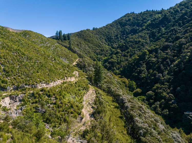 785 Waikakaho Road Tuamarina_42