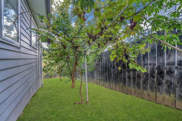 64 Mili Way South Ranui_24