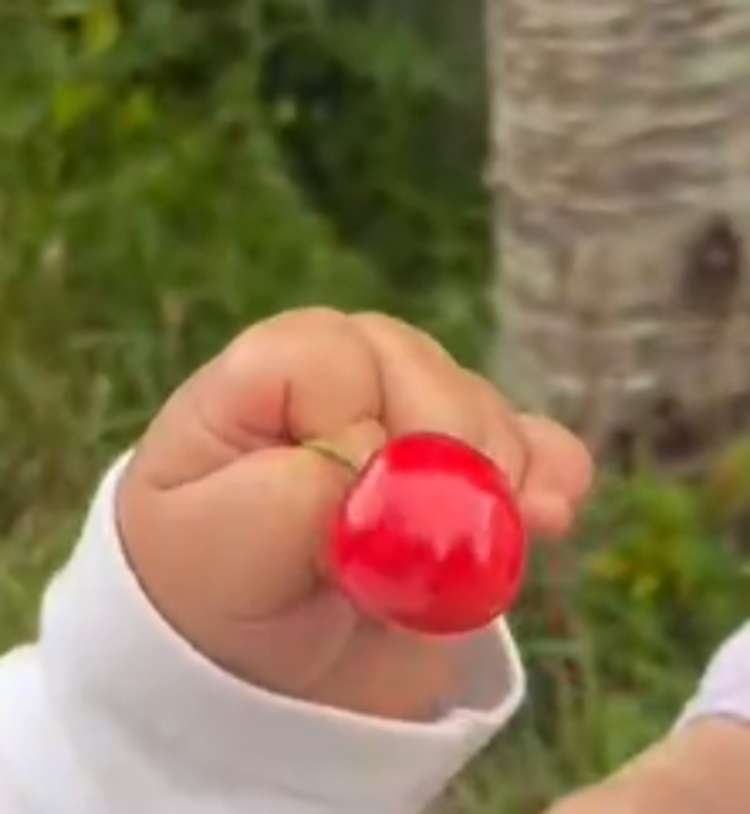 33 Grimsby Grove Wainuiomata_8