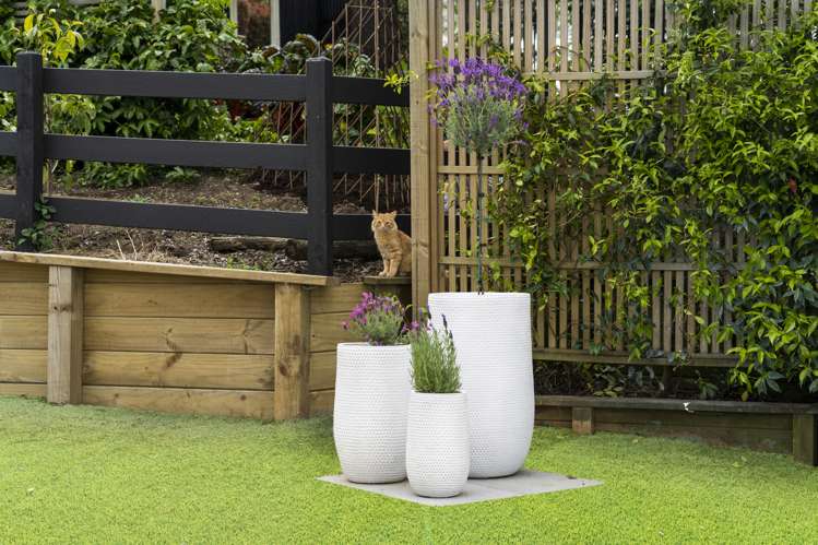 24a River View Road Morrinsville_24