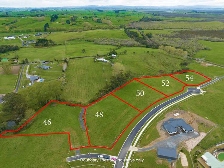 46 Moorfield Road Te Kauwhata_15