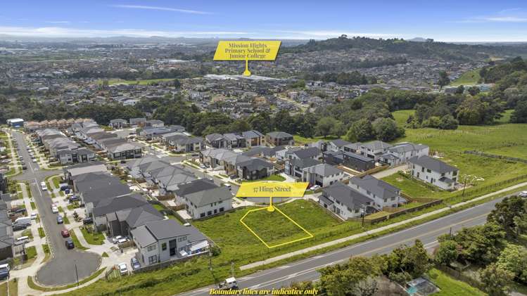 37 Hing Street Flat Bush_4