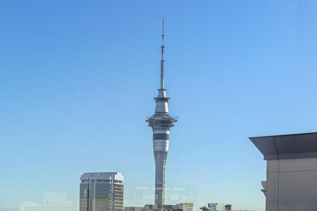 14A/8 Mount Street Auckland Central_3