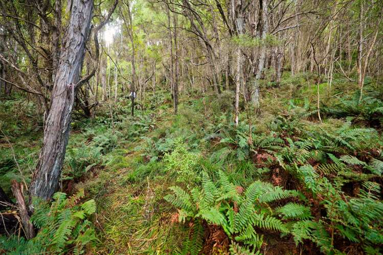 Lot 3/DP403510 Puhi Puhi Valley Road Kaikoura_26