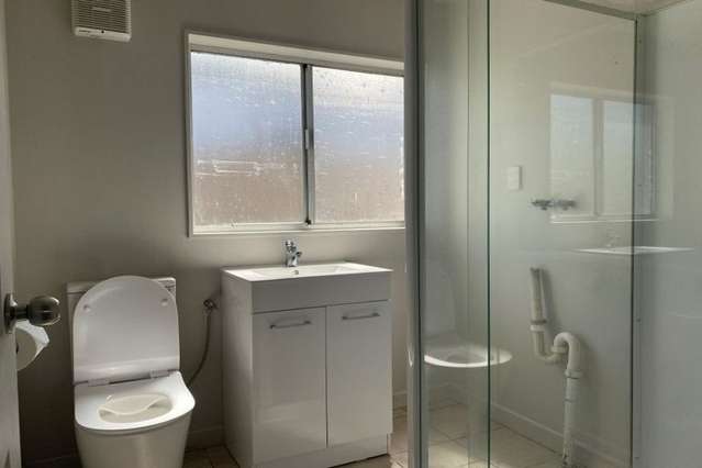 2/3 Manchester Street 1336_4