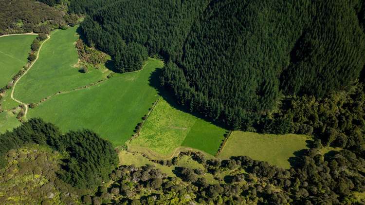 Lot 2 Anakiwa Road Anakiwa_10