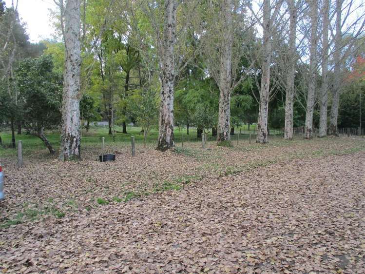 1033 State Highway 4 Manunui_7