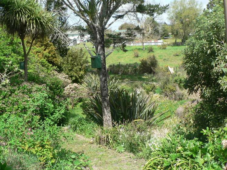 29 Ballance Street Kihikihi_6