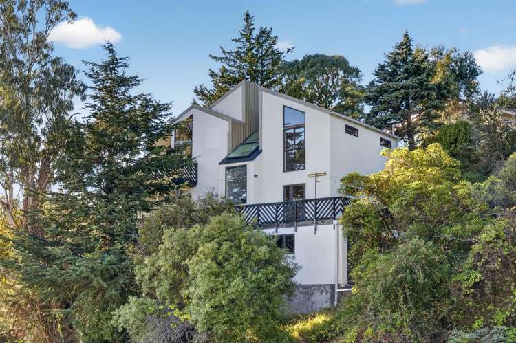 60 Soleares Avenue Mount Pleasant_3