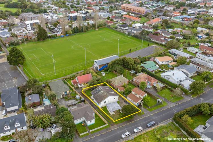 25 Preston Avenue Mount Albert_18