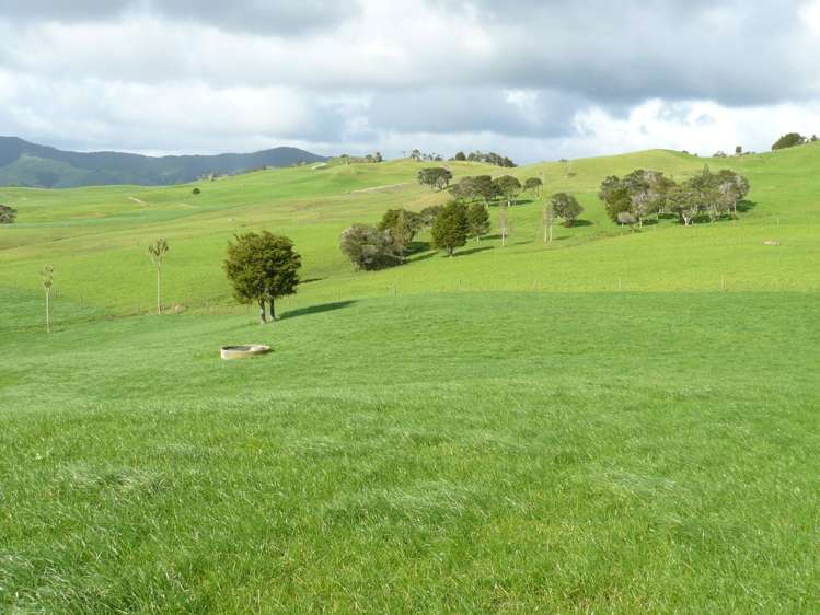 1907 Diggers Valley Road Kaitaia_8