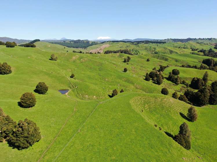 433 Pungapunga Valley Road Taumarunui_9