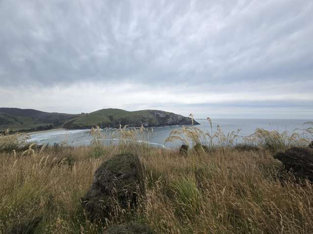 Cannibal Bay Rd Catlins Surrounds_2