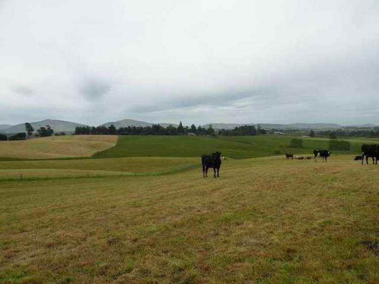 249 Ashley Downs Road Clinton and Surrounds_8