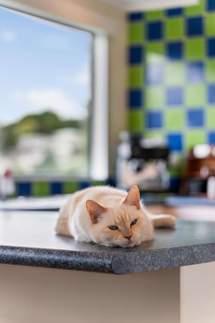 13 Longview Rise Massey_10