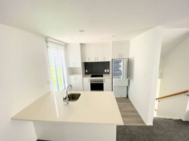 5f Cleveland Road Parnell_2