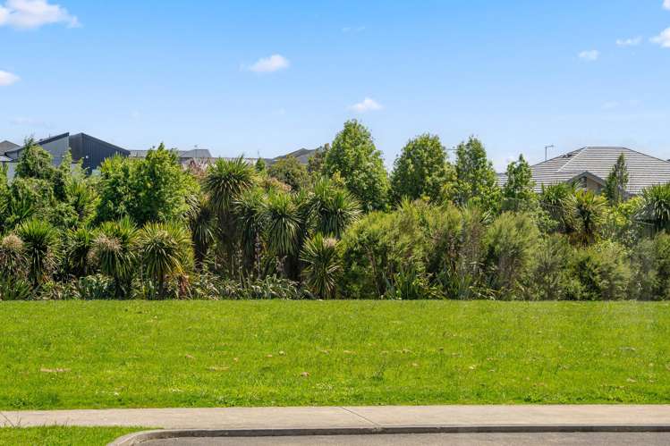 66 Belmont Road Pukekohe_22