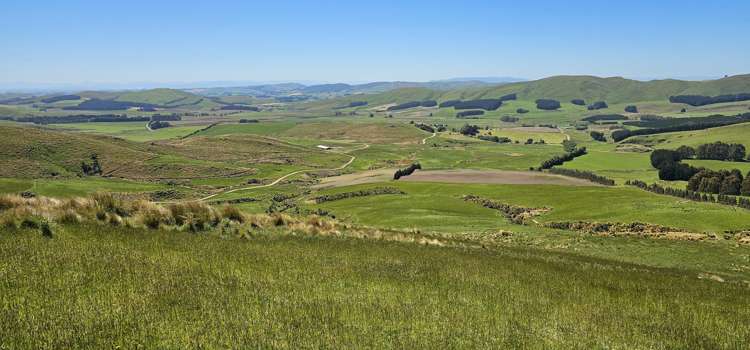 623 Slopedown Road Catlins Surrounds_17