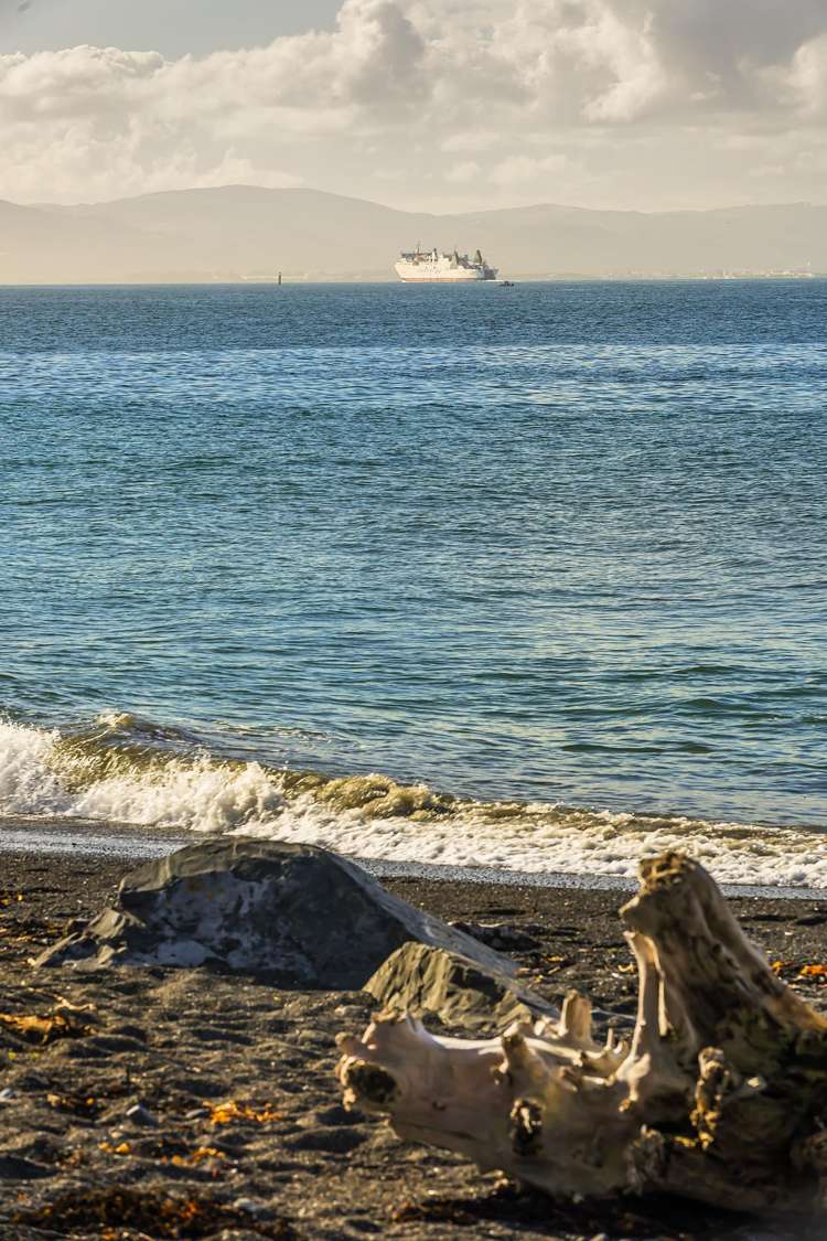 19 Steeple Lane Seatoun_21