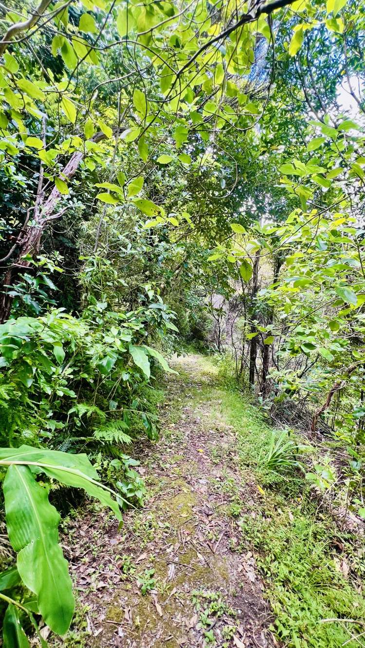 1695 Wyuna Bay Road Wyuna Bay_39