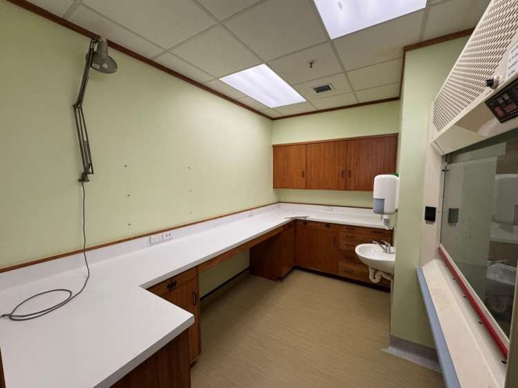 2 Batchelar Road Fitzherbert_7