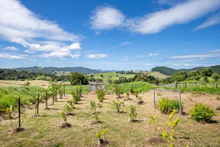 79C Jackson Road Maungatapere_14