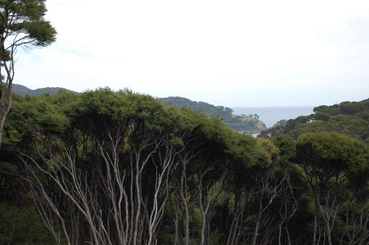 396a Shoal Bay Road Great Barrier Island (Aotea Island)_6