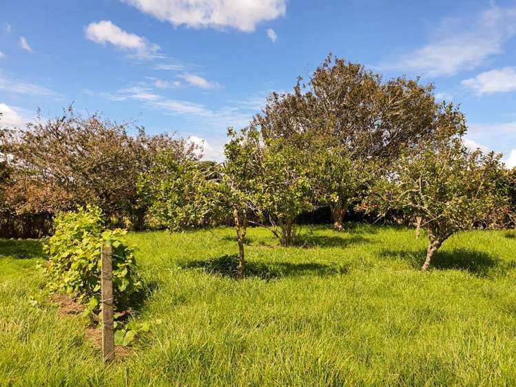 144 Remuera Settlement Road Ohaeawai_5