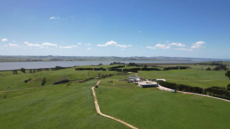 2611 Pouto Road Te Kopuru_16