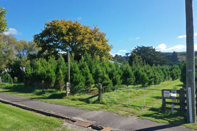 39 Newman Road Eketahuna_4