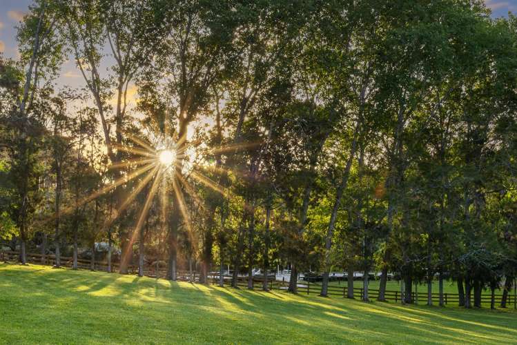 713 Ararimu Valley Road Waimauku_18