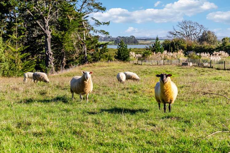 92 Estuary View Road Waiau Pa_35