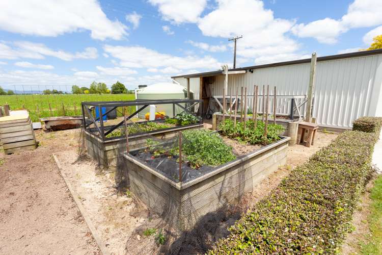 1573 Alexandra Road Waharoa_21