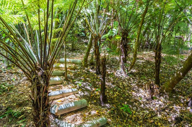 23 Opahi Bay Road Mahurangi West_25