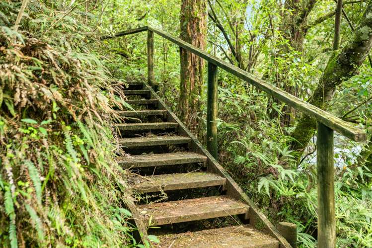 1880 State Highway 10 Kerikeri_33