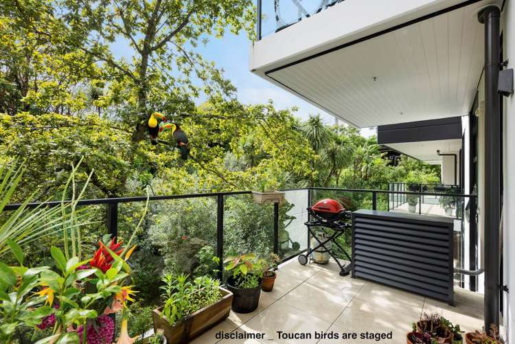 308/8 Kingsland Terrace_0