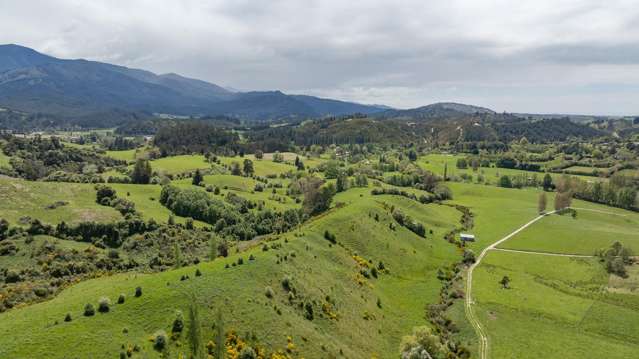 98 Thorpe-Orinoco Road Ngatimoti_2