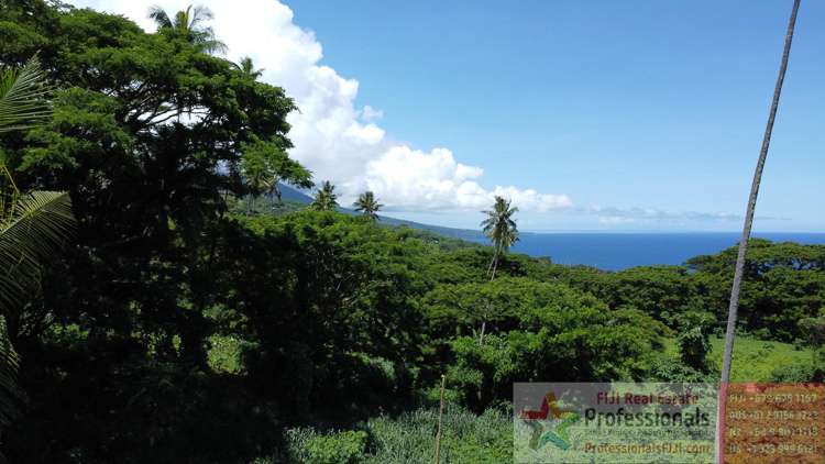 Address withheld Taveuni_21