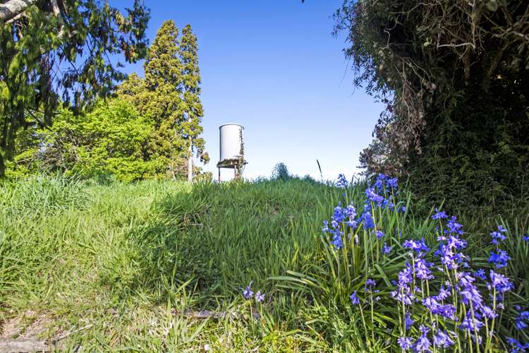 356 Omanawa Road Kaimai_20