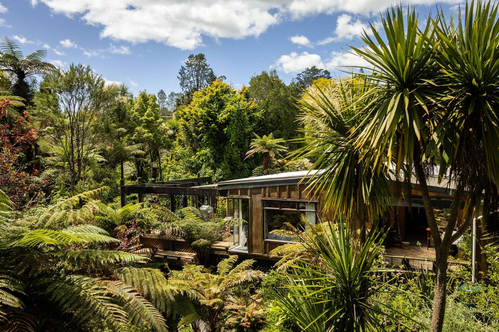 60 Victoria Street Waikino_0