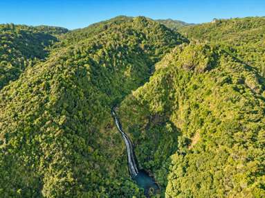 31 Lone Kauri Road_3