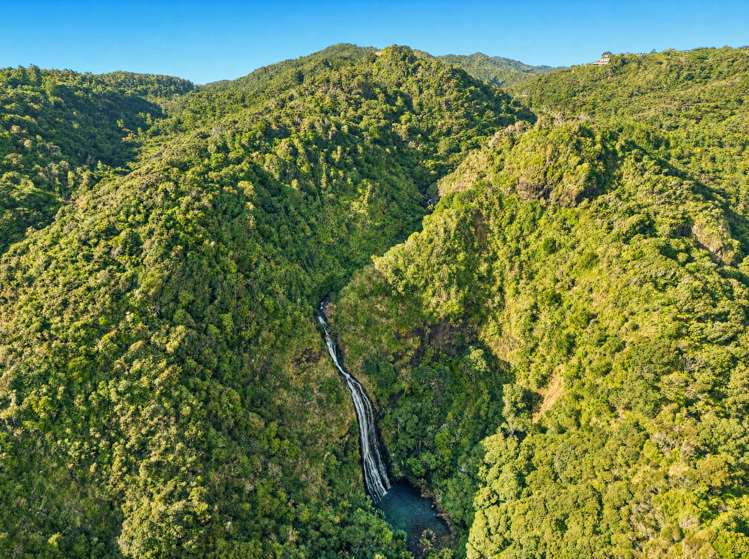 31 Lone Kauri Road Karekare_3