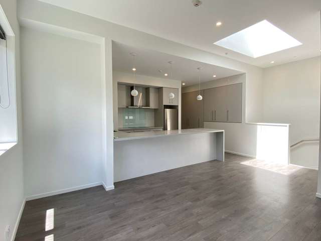 D10/18 Oteha Valley Road Extension Albany_2