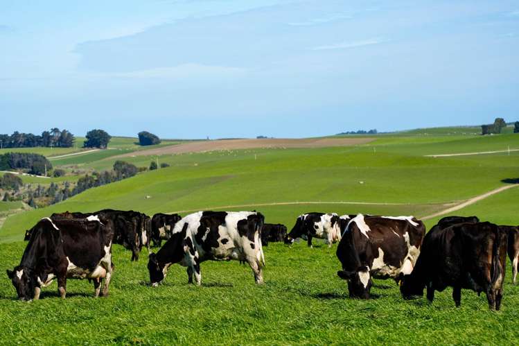 696 Jacks Hill Road Waimahaka_1