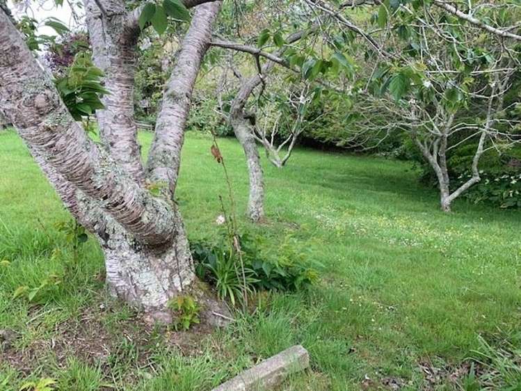 159 Whangaparaoa Road Red Beach_2